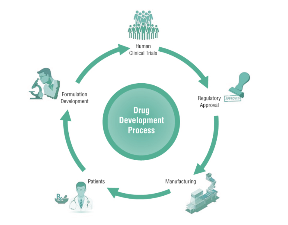 Drug Development Process
